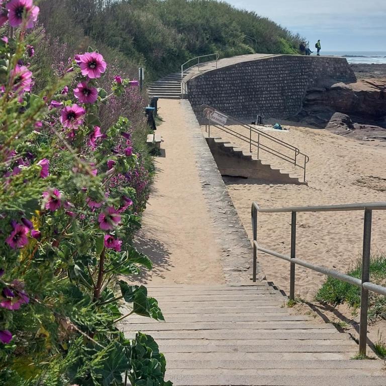 Maison de vacances 4 personnes 2 chambres aux Sables d'Olonne - Two-Bedroom House - 35