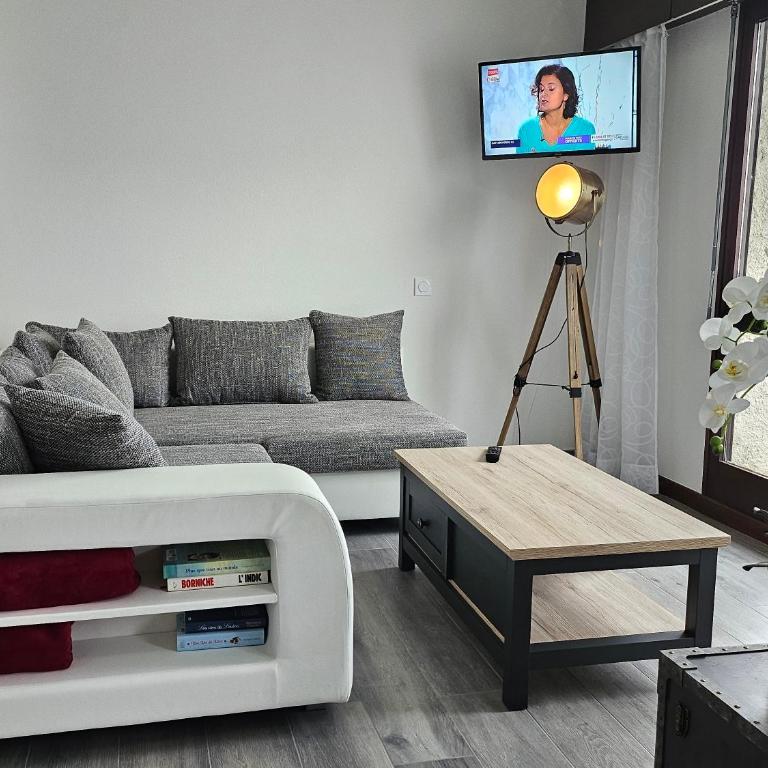 GITE LE BELVEDERE AU REFUGE DU PHOENIX, ECHEVIS - Appartement 1 Chambre - 13