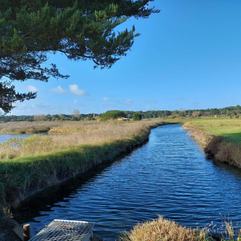 Studio la Salicorne au Sables d'Olonne - Apartamento de 1 dormitorio - 27