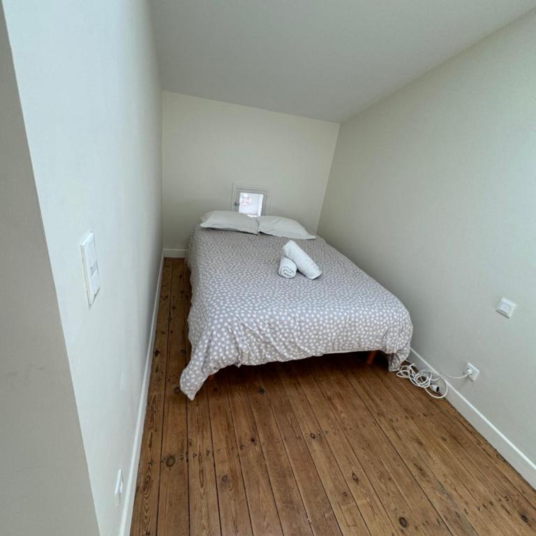 AlbiStudio - Apartment - 2