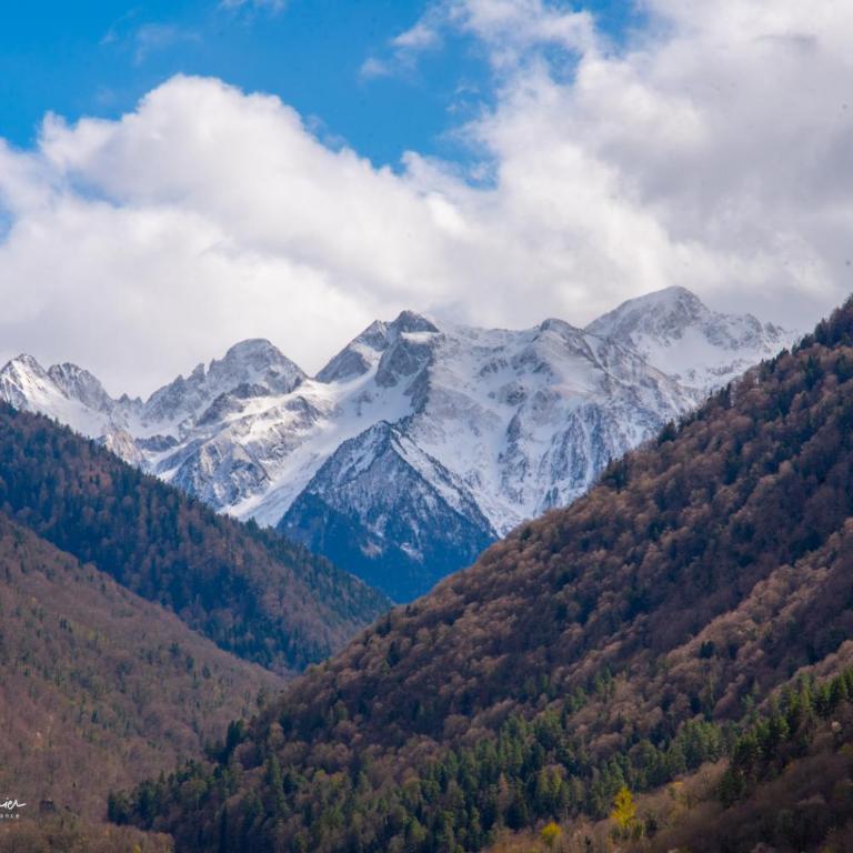 Pyrénées Palace - Apartment (4 Erwachsene) - 1