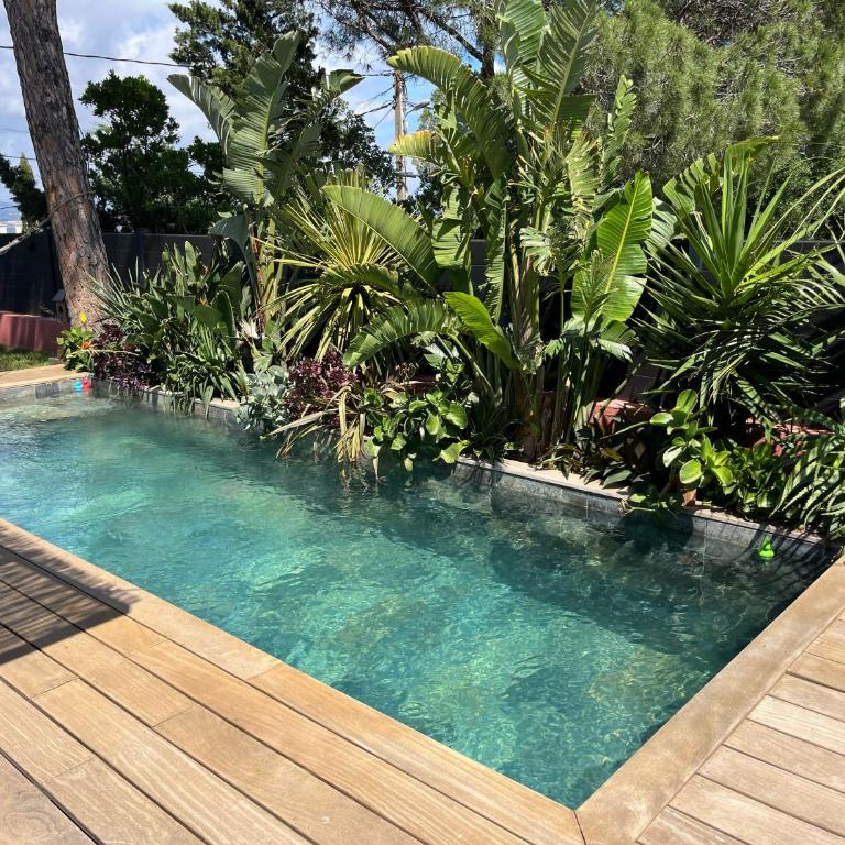 Villa Uvéa - Villa 3 Chambres - 5