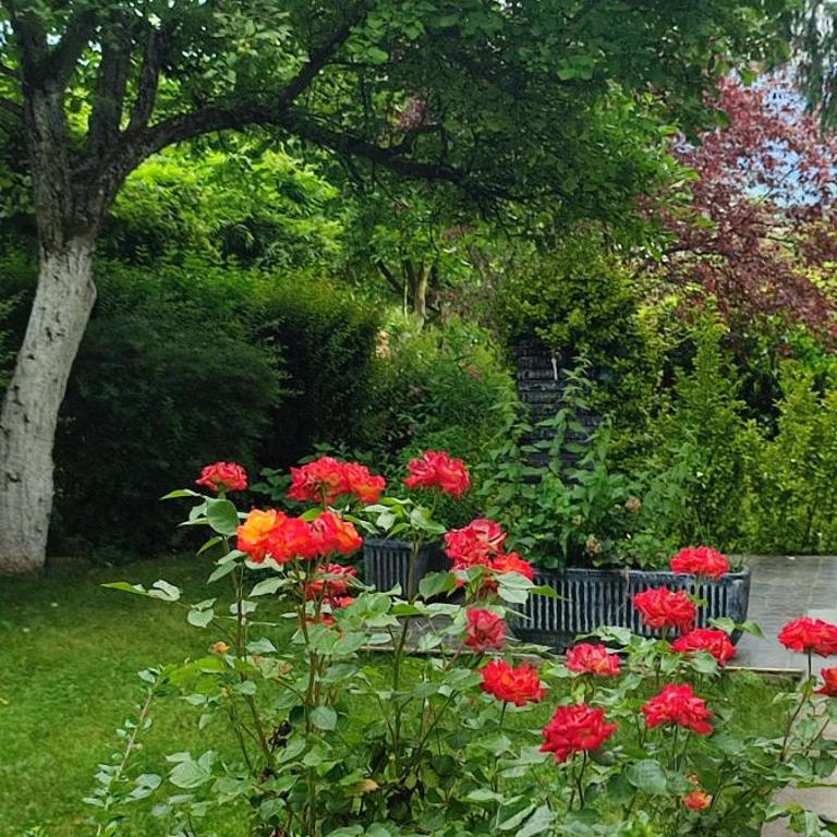 Garden House - Kuća sa 4 Spavaće Sobe - 61