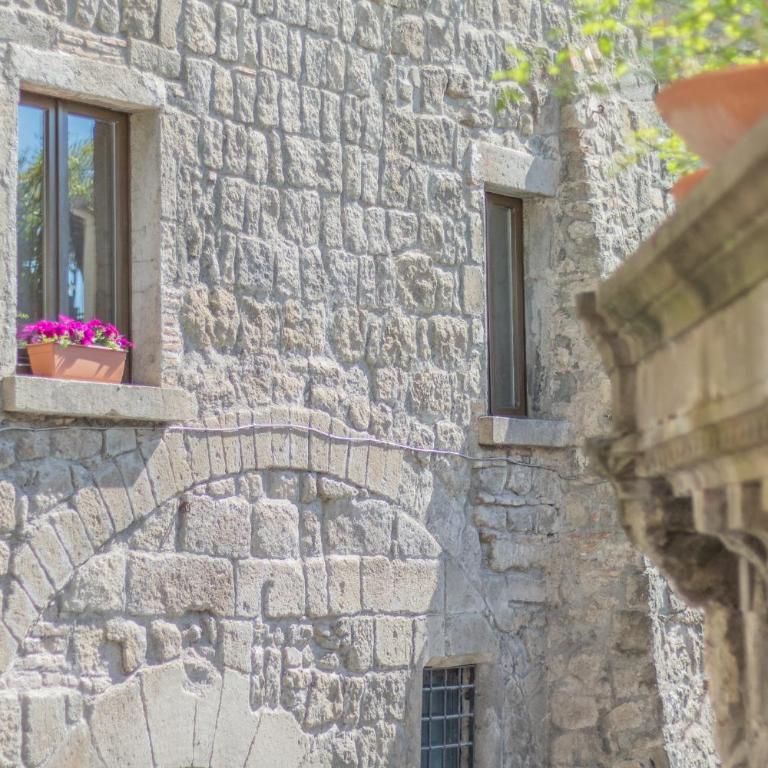 Domus Viterbo Centro - Appartamento - 31