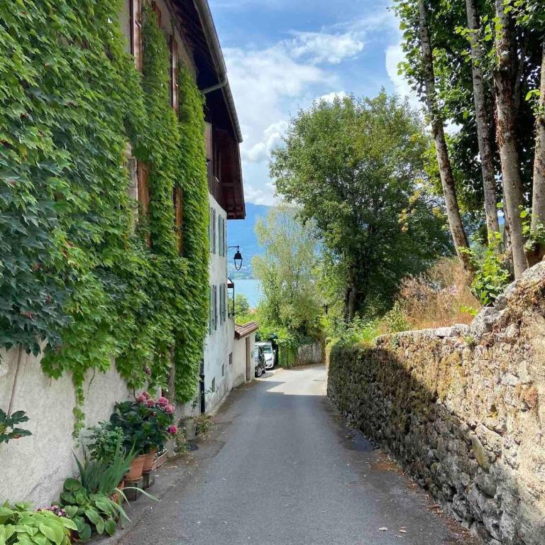 Appartement avec Jardin & vue Lac Talloires (15' Annecy) - Appartement 2 Chambres avec vue sur la baie - 28