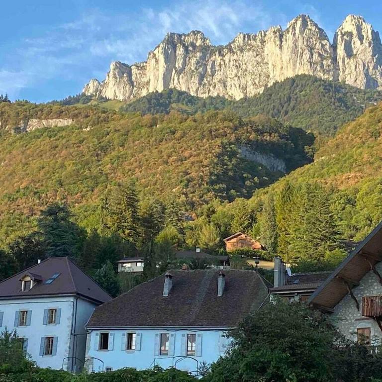 Appartement avec Jardin & vue Lac Talloires (15' Annecy) - Appartement 2 Chambres avec vue sur la baie - 30