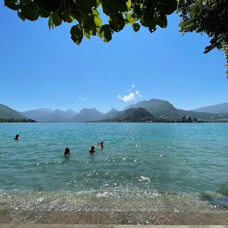 Appartement avec Jardin & vue Lac Talloires (15' Annecy) - Appartement 2 Chambres avec vue sur la baie - 51