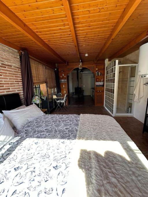 Loft ático terraza - Apartamento de 1 dormitorio - 14