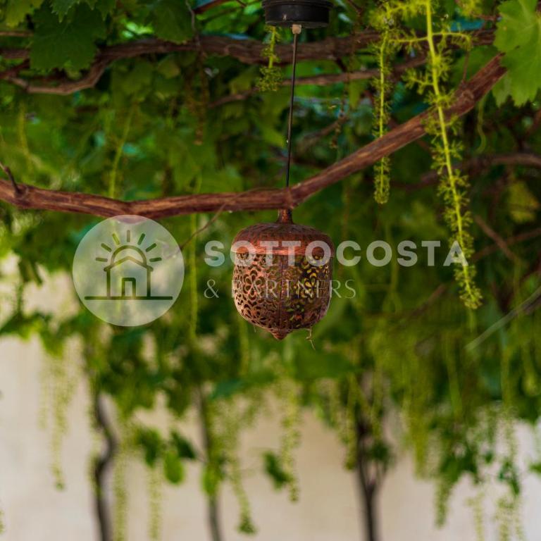 Be Nature - Standard Double Room - 24