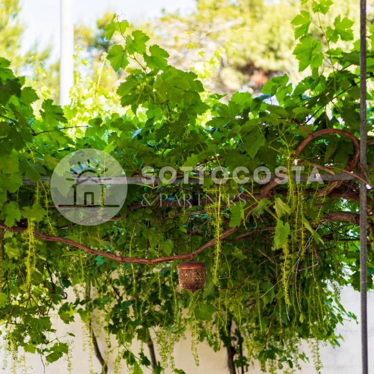 Be Nature - Standard Double Room - 28