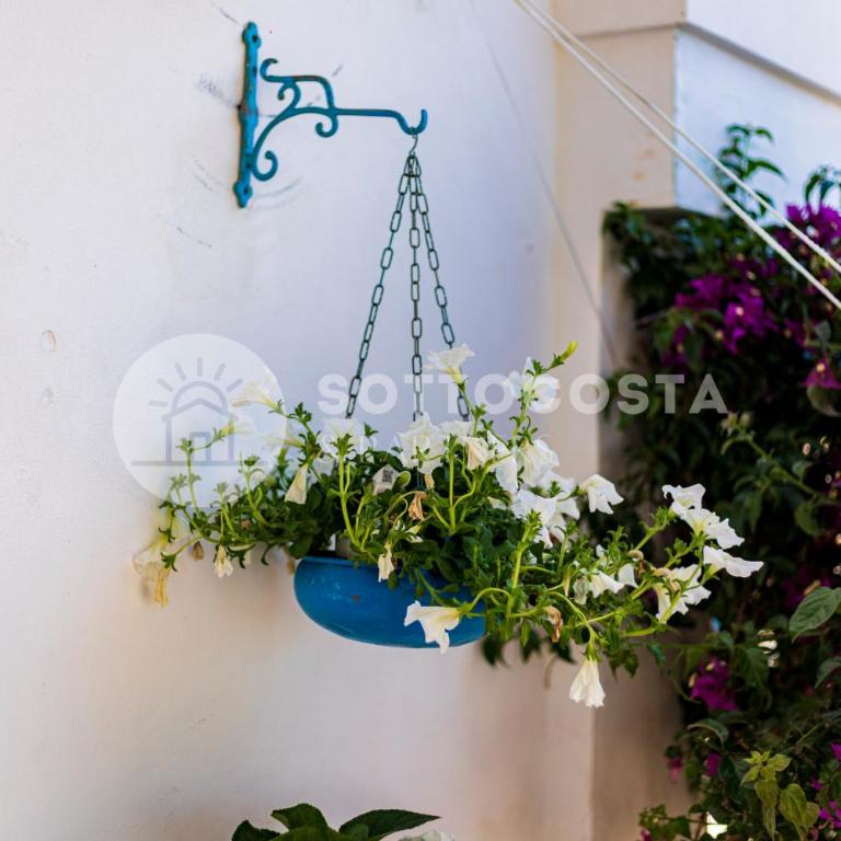 Be Nature - Standard Double Room - 38