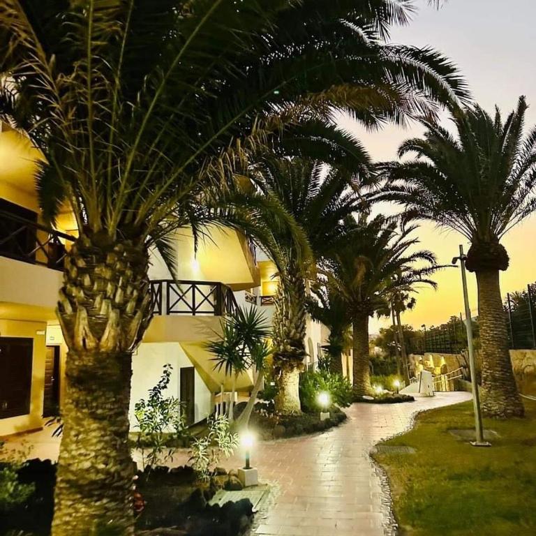 Apartman Palmeras Golf del Sur - Apartamento de 1 dormitorio - 27