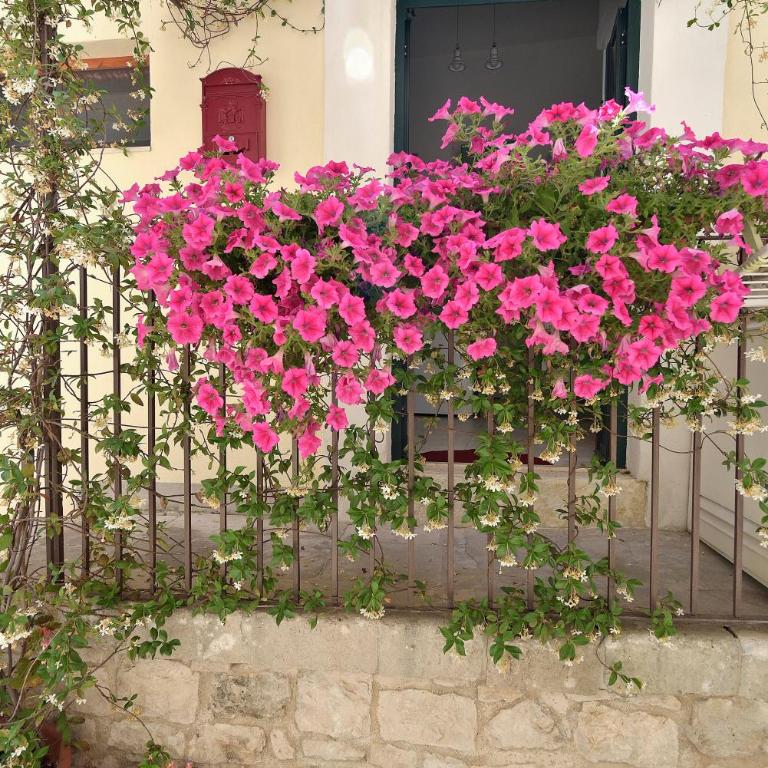 Case del Vicolo Stretto - Casa Vacanze - 5