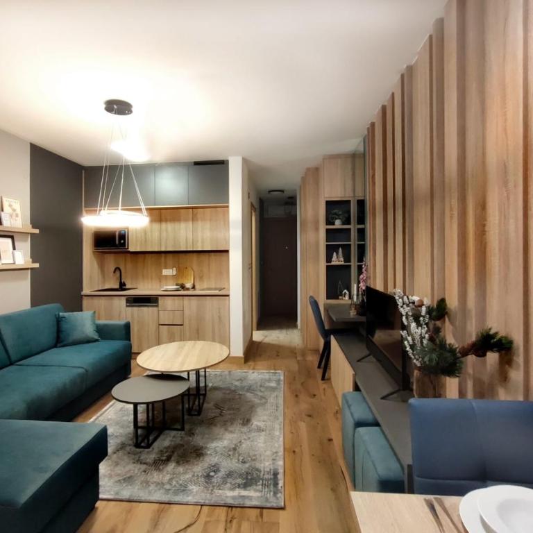 Apartmani VinVucko Jahorina u sklopu aparthotela Vucko privatni apartmani - Apartman sa Pogledom na Planinu - 30