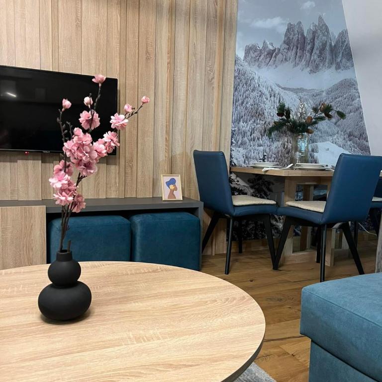 Apartmani VinVucko Jahorina u sklopu aparthotela Vucko privatni apartmani - Apartment with Mountain View - 33