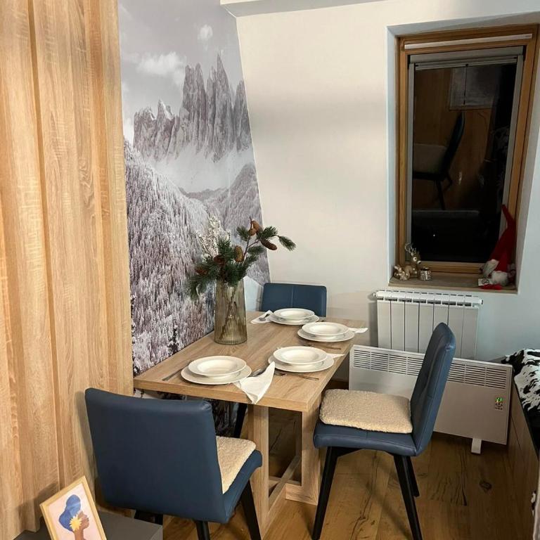 Apartmani VinVucko Jahorina u sklopu aparthotela Vucko privatni apartmani - Apartment with Mountain View - 35