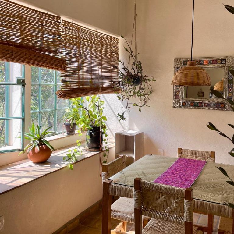 El Pocito Quiet Bungalow - Casa - 7