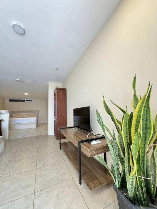 Suite en zona exclusiva - Apartamento de 1 dormitorio - 6
