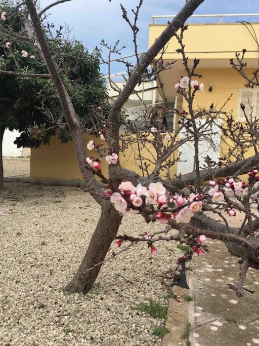 Casita - Casa con 3 Camere da Letto - 23