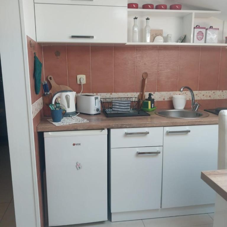 Apartman Savic - Apartman sa 1 Spavaćom Sobom - 5