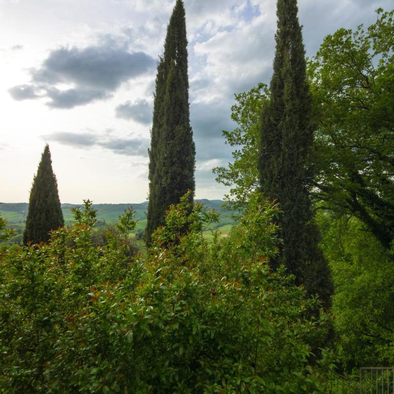 Appartamento con vista - Montepulciano - Appartamento con 1 Camera da Letto - 18