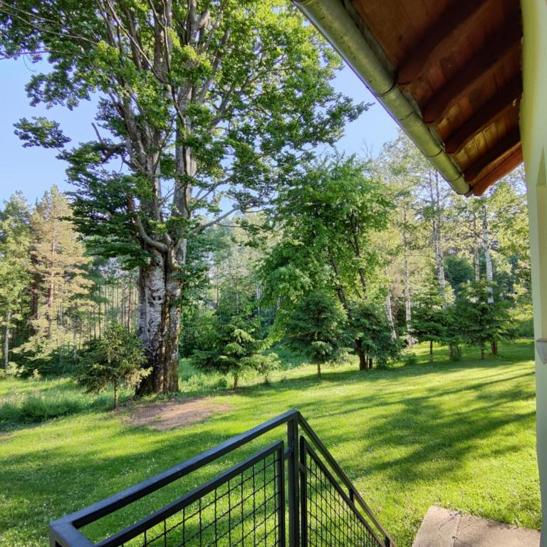 Vila Priroda Divčibare - Apartman - 2