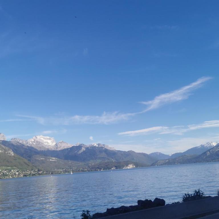 Charmant appartement à 1 minute du lac - Apartment mit 1 Schlafzimmer - 16