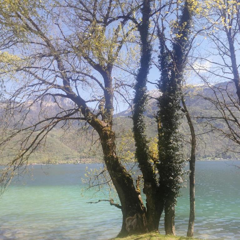 Charmant appartement à 1 minute du lac - Apartment mit 1 Schlafzimmer - 34