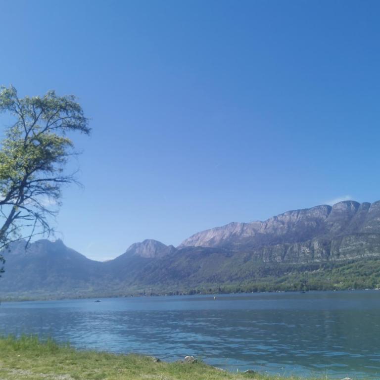 Charmant appartement à 1 minute du lac - Apartment mit 1 Schlafzimmer - 23