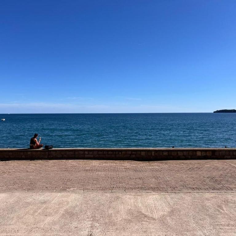 Luxury Sea View Apartment Budva, Beachfront Rafailovici - Apartman sa 1 Spavaćom Sobom - 20
