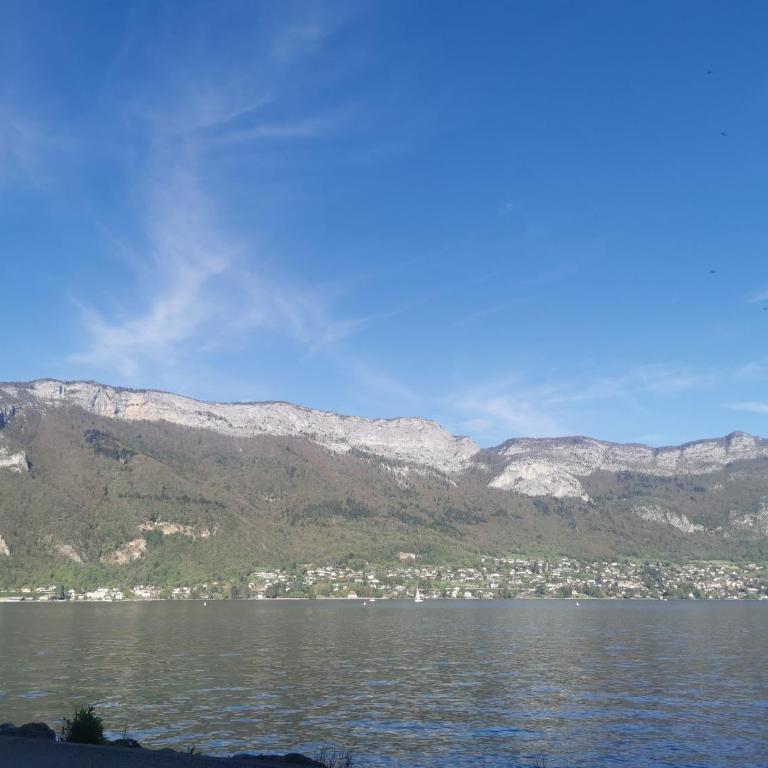 Charmant appartement à 1 minute du lac - Apartment mit 1 Schlafzimmer - 40