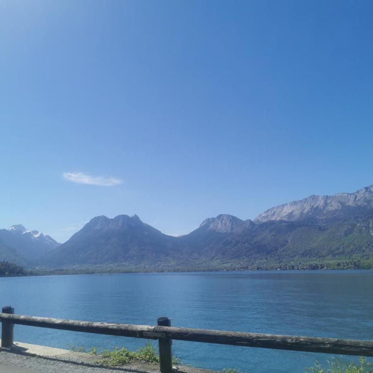 Charmant appartement à 1 minute du lac - Apartment mit 1 Schlafzimmer - 44