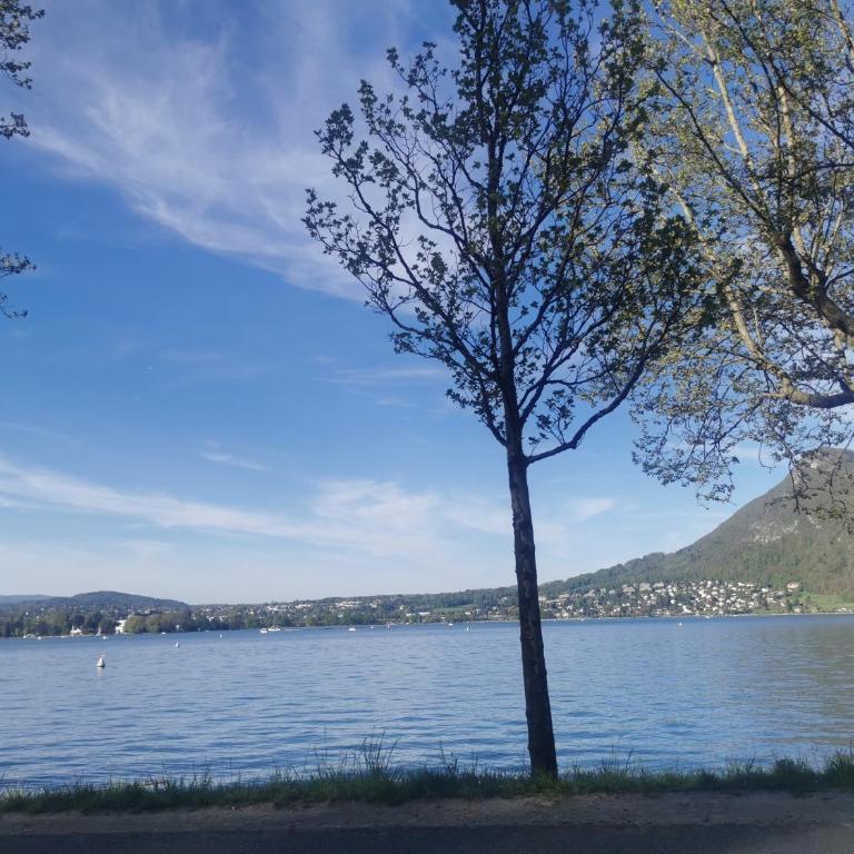 Charmant appartement à 1 minute du lac - Apartment mit 1 Schlafzimmer - 46
