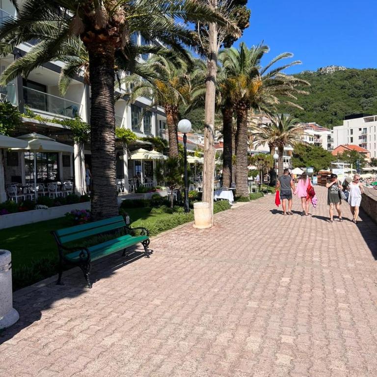 Luxury Sea View Apartment Budva, Beachfront Rafailovici - Apartman sa 1 Spavaćom Sobom - 19