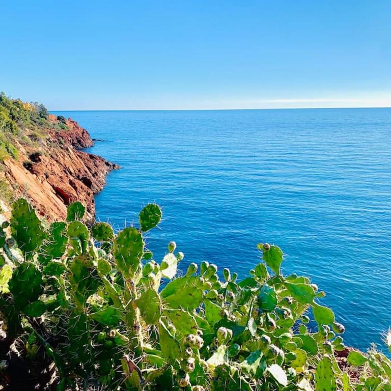 Vue mer - Refait à neuf - Clim - Parking - 4 personnes - Appartement 2 Chambres - 31