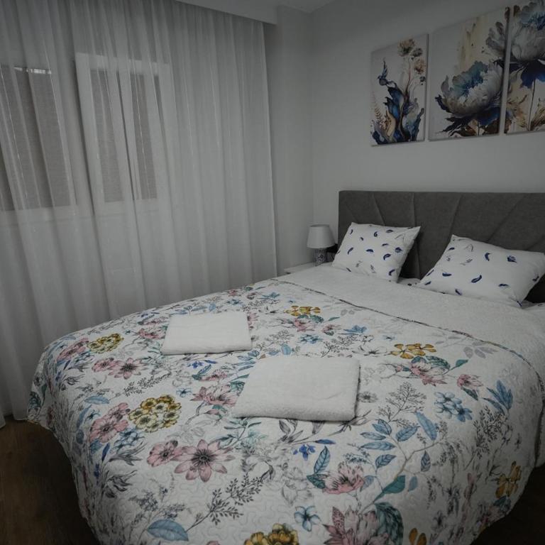 Calathea Apartment La Mata - Apartamento de 2 dormitorios con balcón y vistas al mar - 2