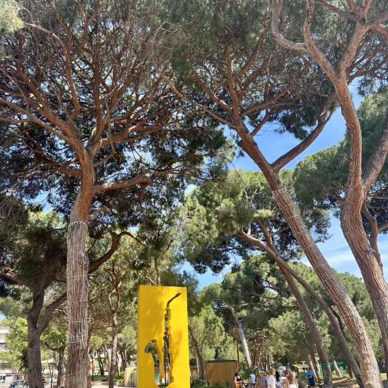 Juan 4 prs, clim, 300m plage, piscine, parking - Appartamento con 1 Camera da Letto - 66