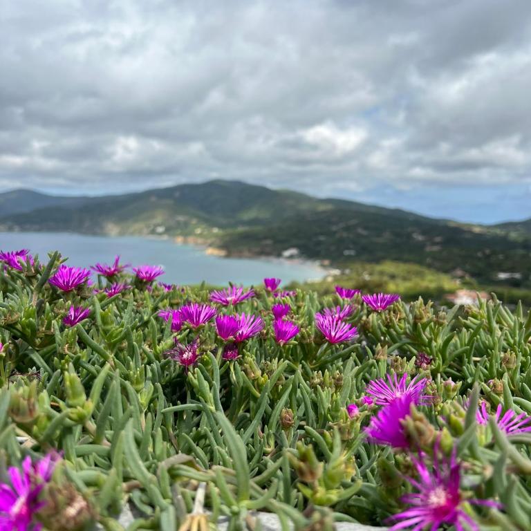 Villetta Zuccale III Natura e Vista Mozzafiato sul Mare - Appartamento con 1 Camera da Letto - 19
