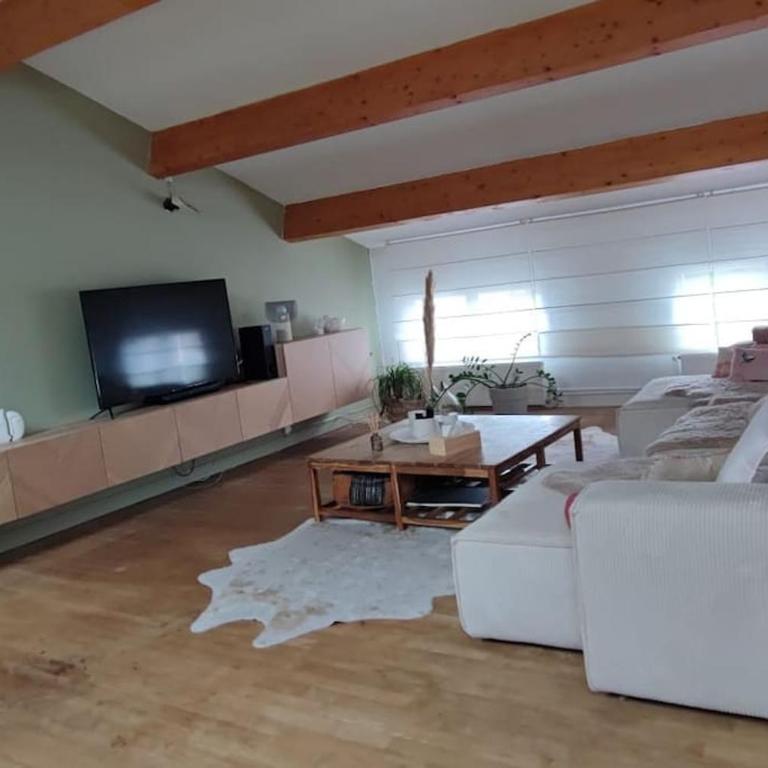 La Villa Bénédictins avec piscine - Villa 3 Chambres - 3