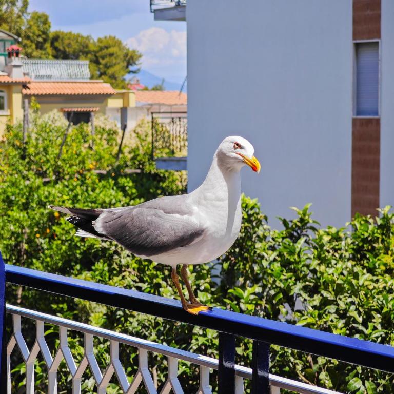 Sasà apartament Sorrento - One-Bedroom Apartment - 13