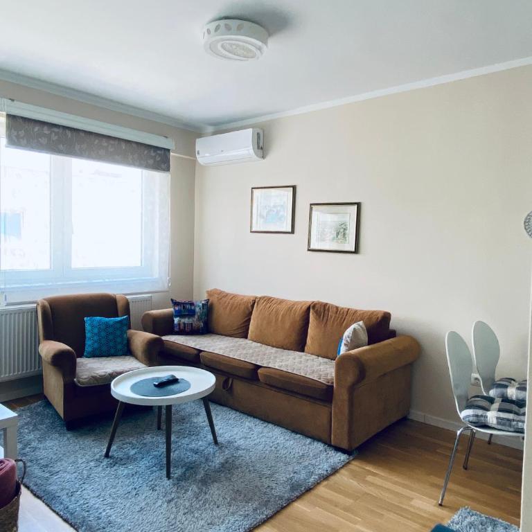 Apartman Otoka-Meandar - Apartman sa 1 Spavaćom Sobom - 3
