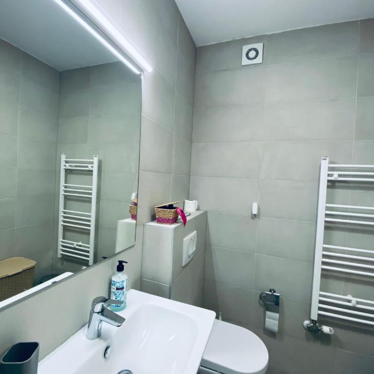 Apartman Otoka-Meandar - Apartman sa 1 Spavaćom Sobom - 2