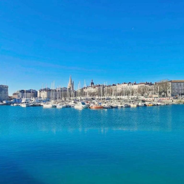 Charmant T2 avec Piscine vue lac aux minimes La Rochelle - Appartement 1 Chambre - 11