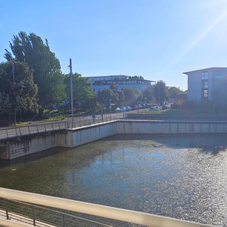 Charmant T2 avec Piscine vue lac aux minimes La Rochelle - Appartement 1 Chambre - 6