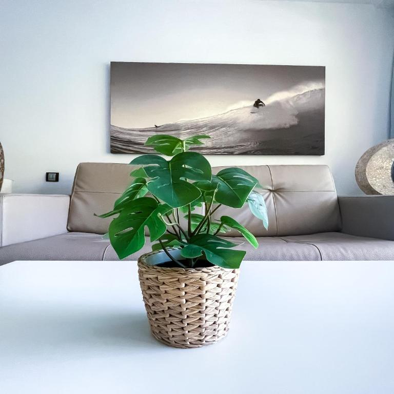 B-Rent Atlantic Garden 181 - Apartamento de 1 dormitorio - 30