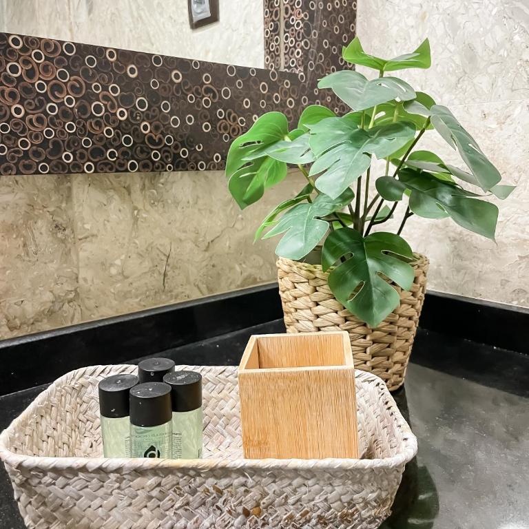 B-Rent Atlantic Garden 181 - Apartamento de 1 dormitorio - 57