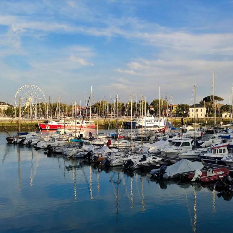 Charmant T2 avec Piscine vue lac aux minimes La Rochelle - Appartement 1 Chambre - 10