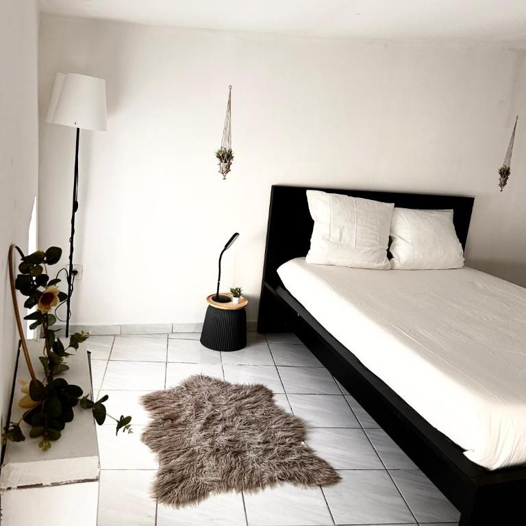 Maison Barbini - Villa 2 Chambres - 15
