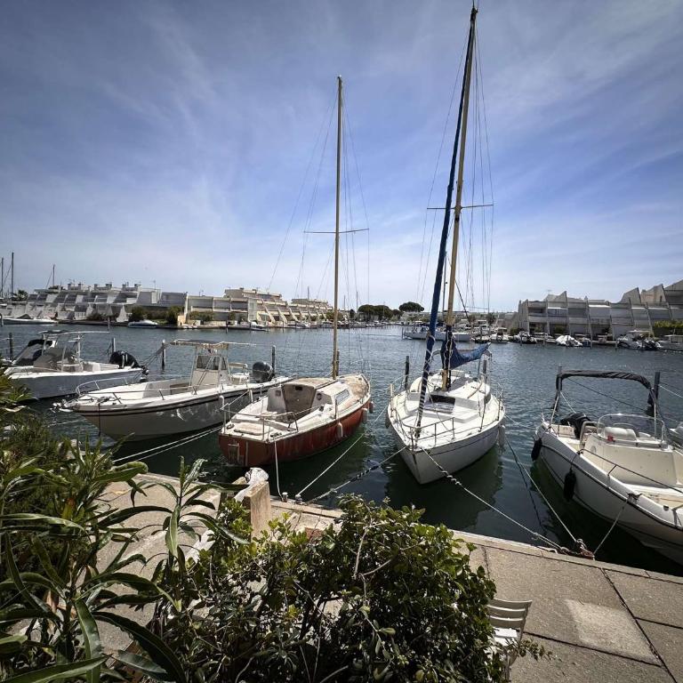 Marina 2 pièces bord de mer, parking privé, 5 pers - FR-1-731-77 - Appartement - 1