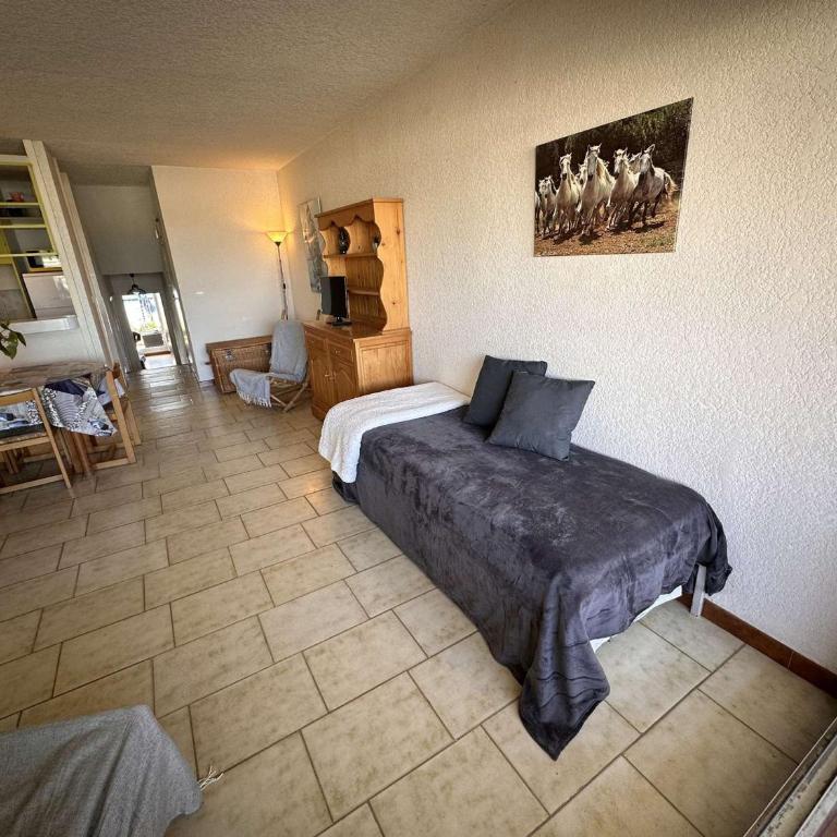 Marina 2 pièces bord de mer, parking privé, 5 pers - FR-1-731-77 - Appartement - 7